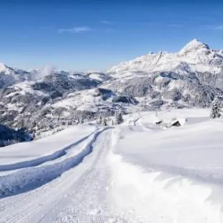 Chalet De Cassiopee - Demi Dans Un Cadre Exceptionnel A Cote Des Pistes Mae-2944